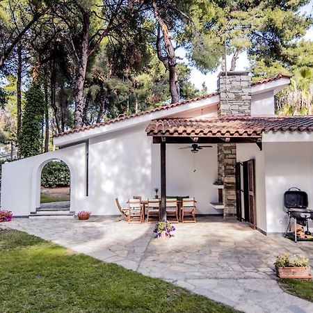 Beautiful Holiday Villa In Sani Сани-Бич Экстерьер фото