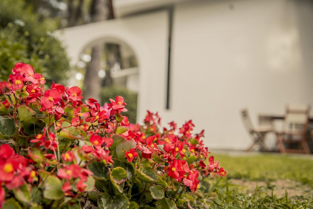 Beautiful Holiday Villa In Sani Сани-Бич Экстерьер фото